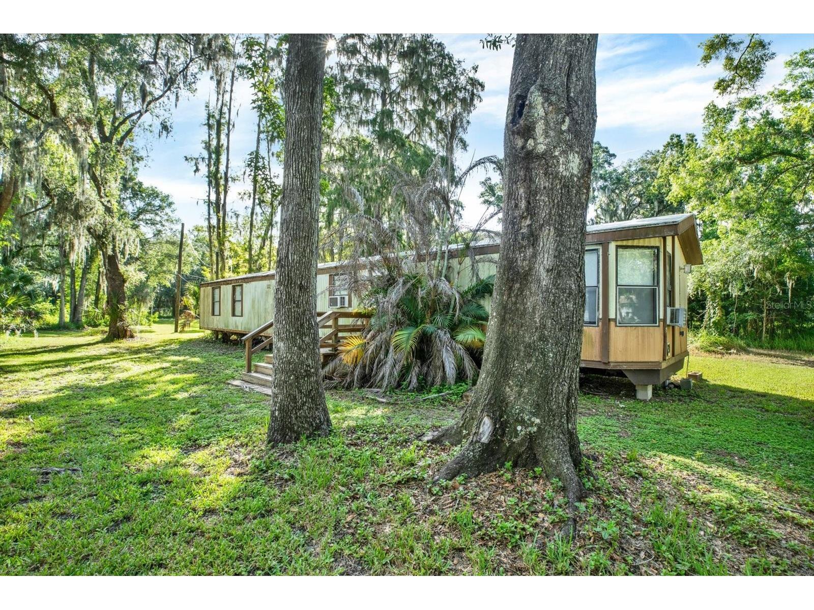 3913 Alafia Boulevard Brandon FL 33511 TB8526940 image7