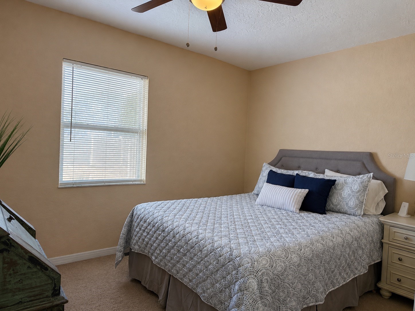 3913 W Leila Avenue Tampa FL 33616 TB8507077 image18