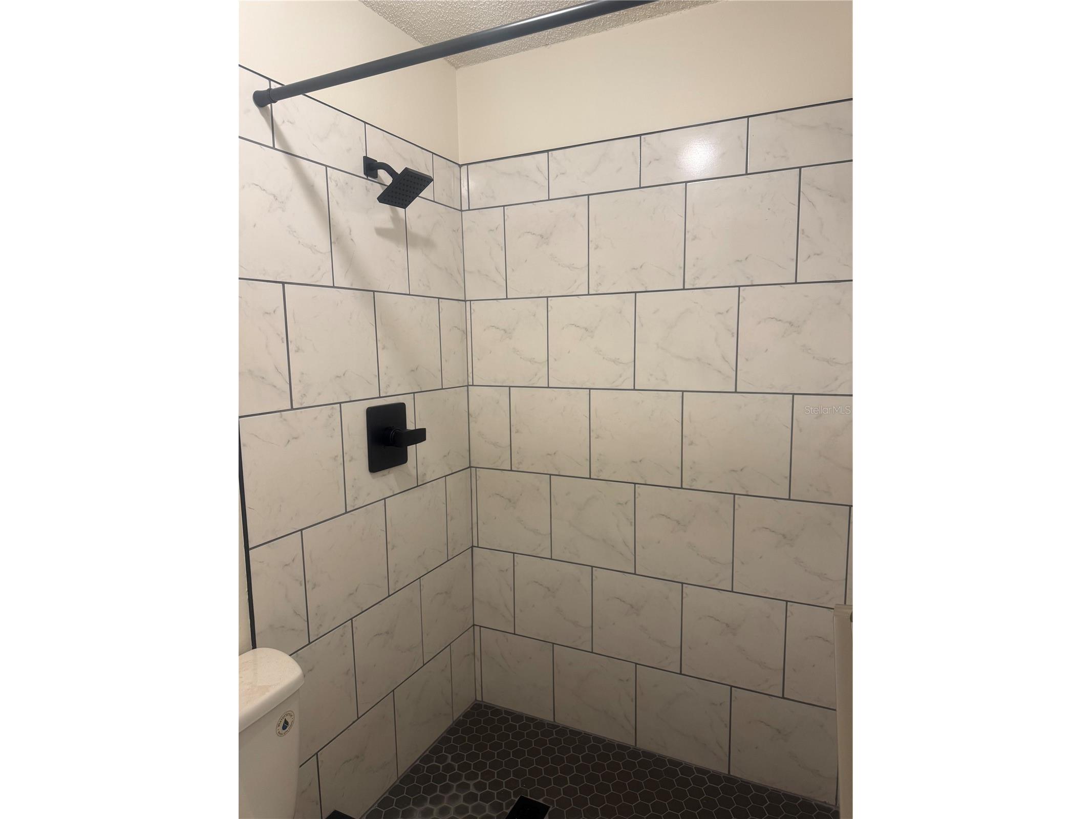 39132 County Road 54 #2216 Zephyrhills FL 33542 TB8513758 image14