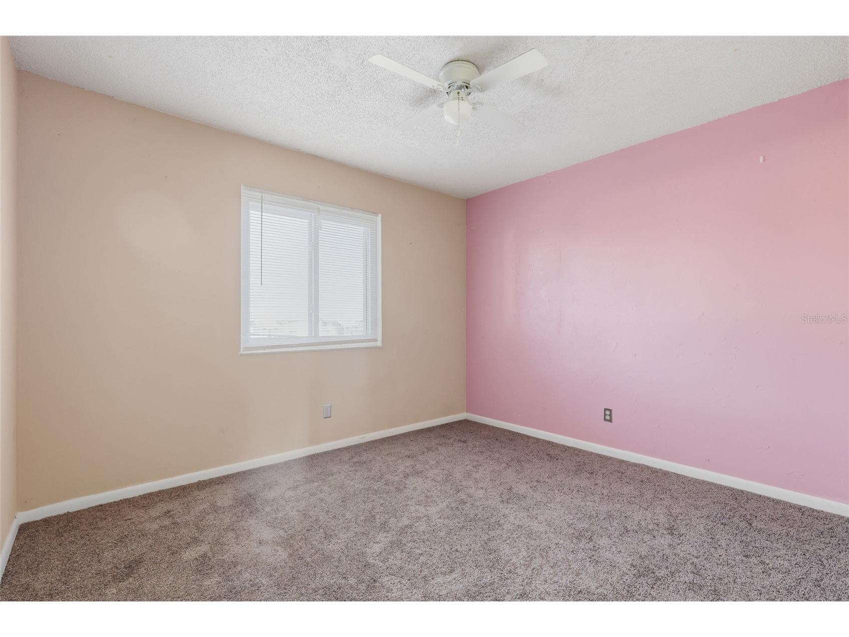 39132 County Road 54 #2216 Zephyrhills FL 33542 TB8513758 image15