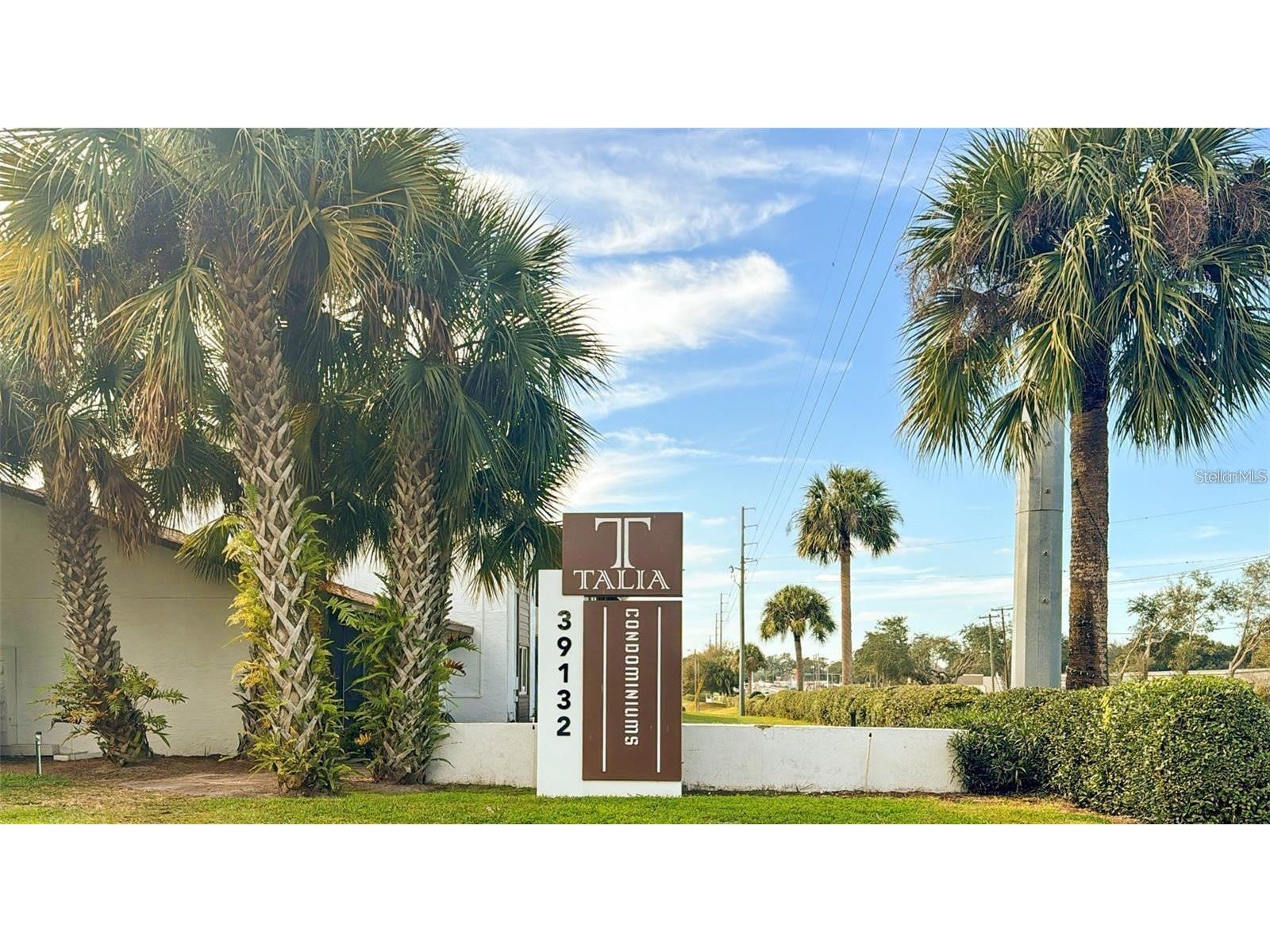 39132 County Road 54 #2246 Zephyrhills FL 33542 TB8486970 image22