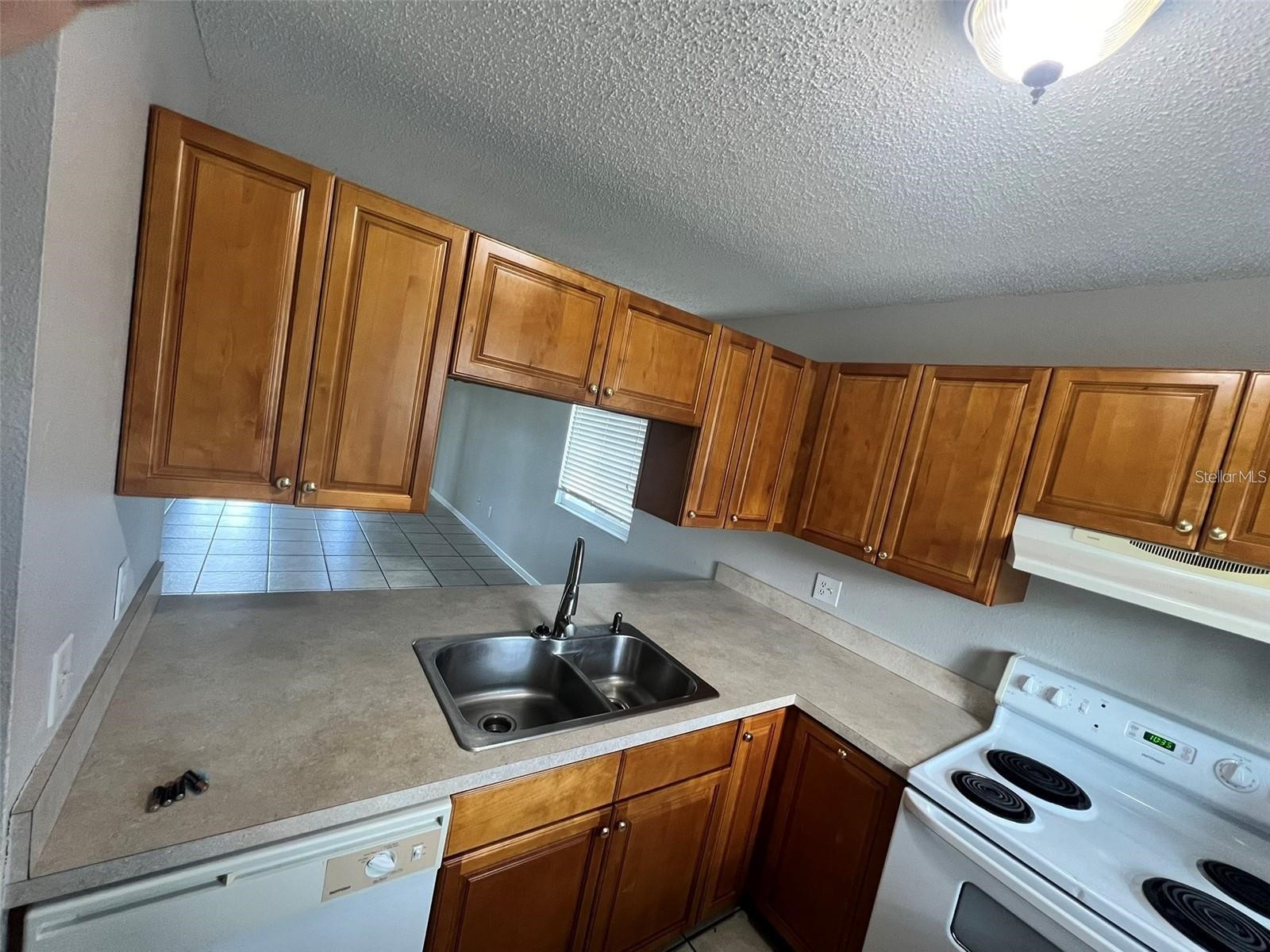 39132 County Road 54 #2246 Zephyrhills FL 33542 TB8486970 image4