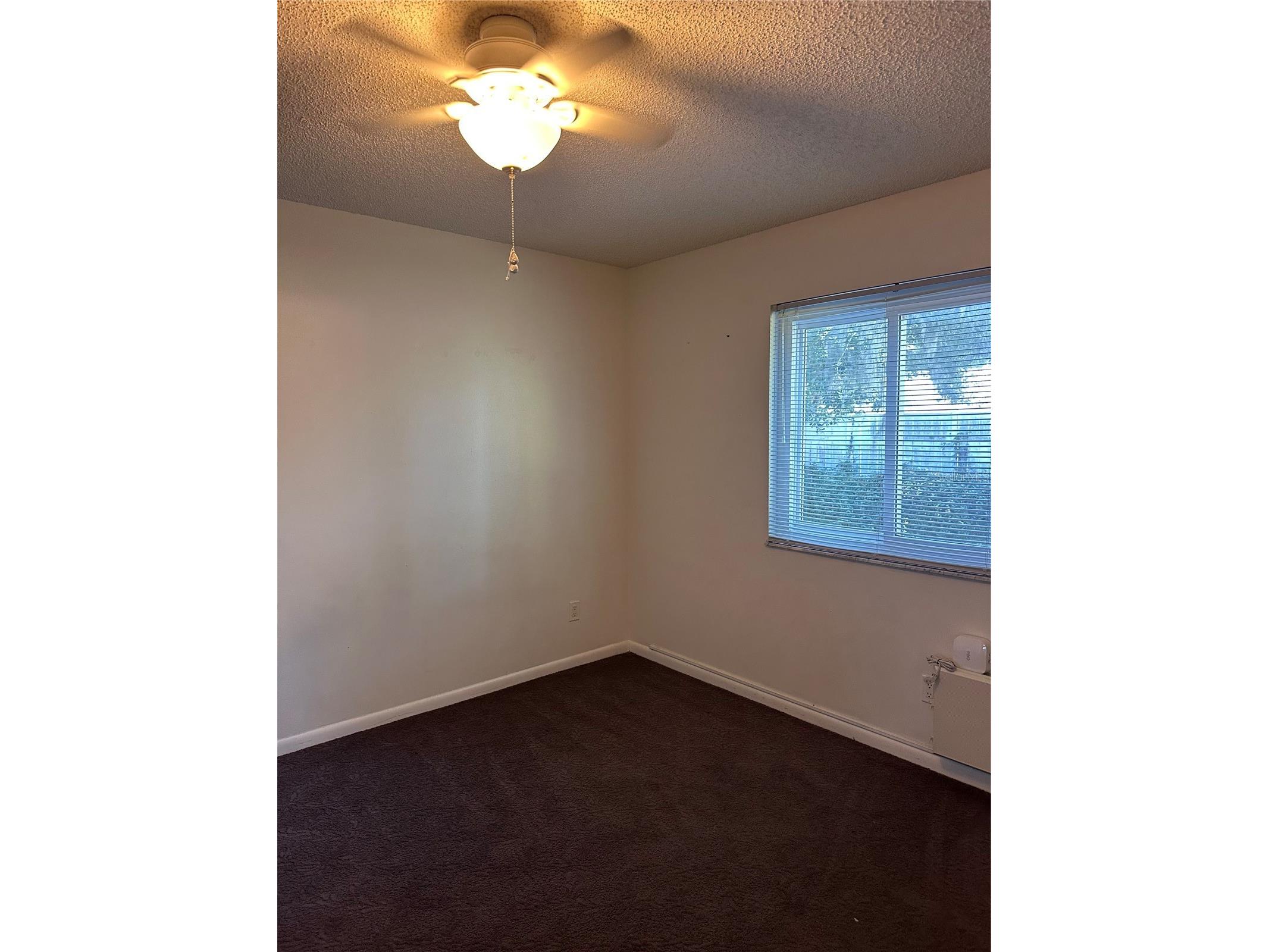 39132 County Road 54 Road #G 2164 Zephyrhills FL 33542 TB8399849 image9