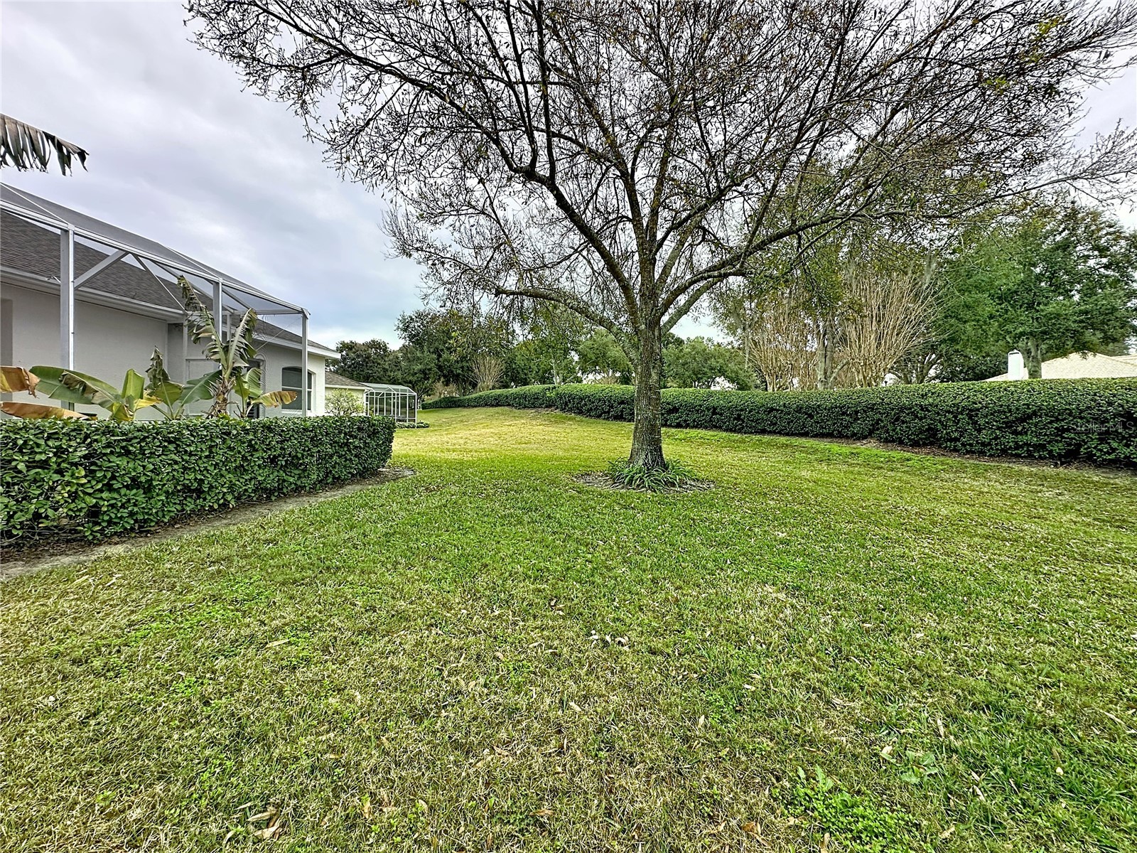 3914 Allamanda Court Clermont FL 34711 G5105588 image41