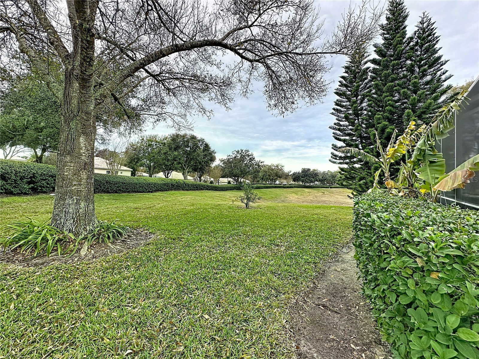 3914 Allamanda Court Clermont FL 34711 G5105588 image42