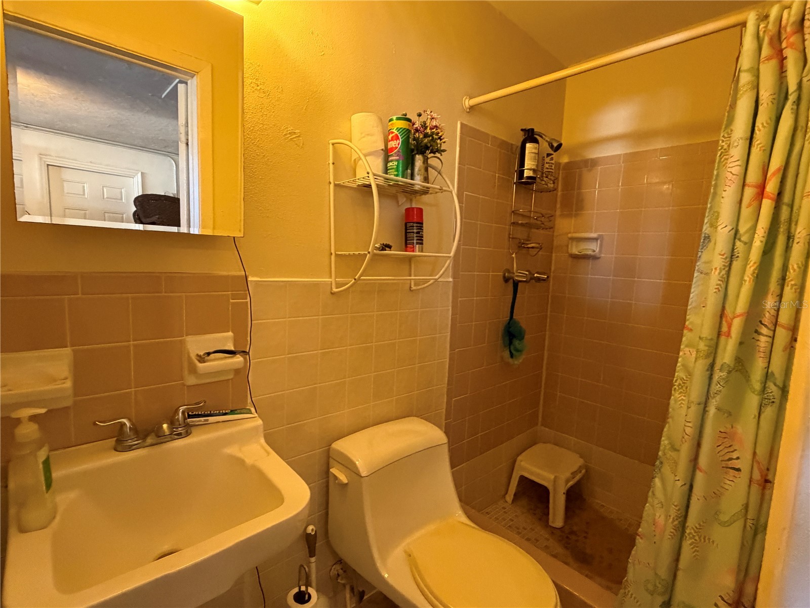 3914 Carioca Holiday FL 34691 W7882534 image13