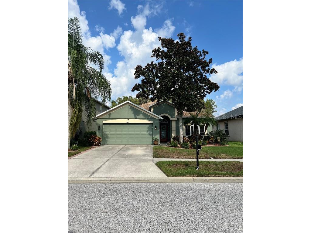 3914 Duke Firth Street Land O Lakes FL 34638 U8253061 image1