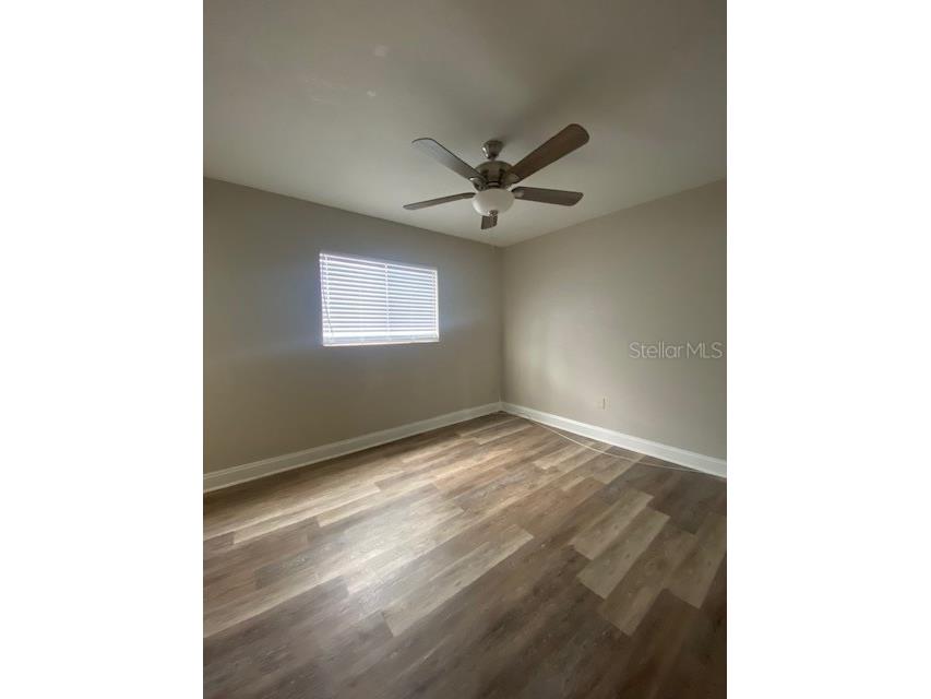 3914 Neptune Street #1 Tampa FL 33629 TB8489645 image3