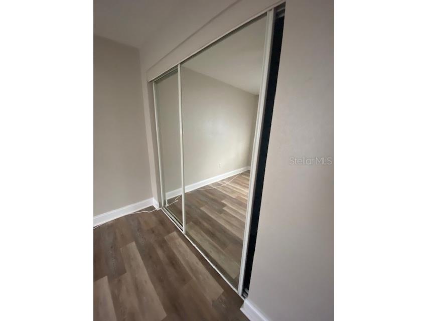 3914 Neptune Street #1 Tampa FL 33629 TB8489645 image4