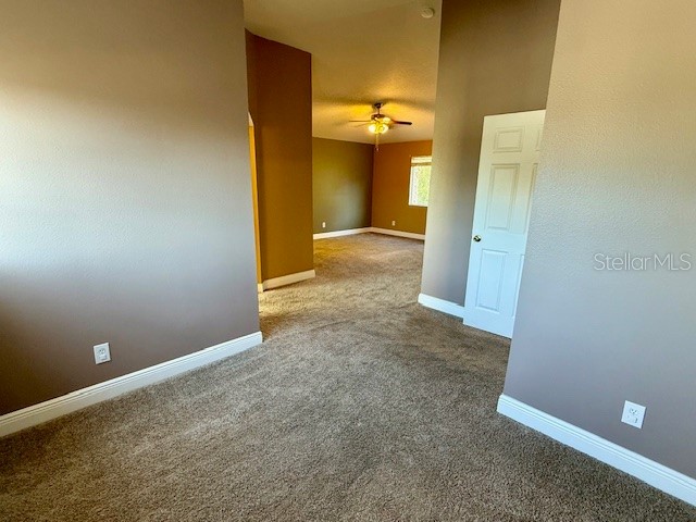 3914 Roswell Place Land O Lakes FL 34639 W7881410 image12