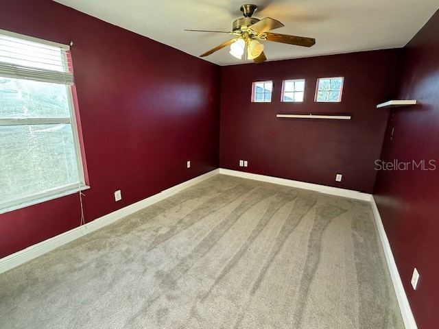 3914 Roswell Place Land O Lakes FL 34639 W7881410 image16