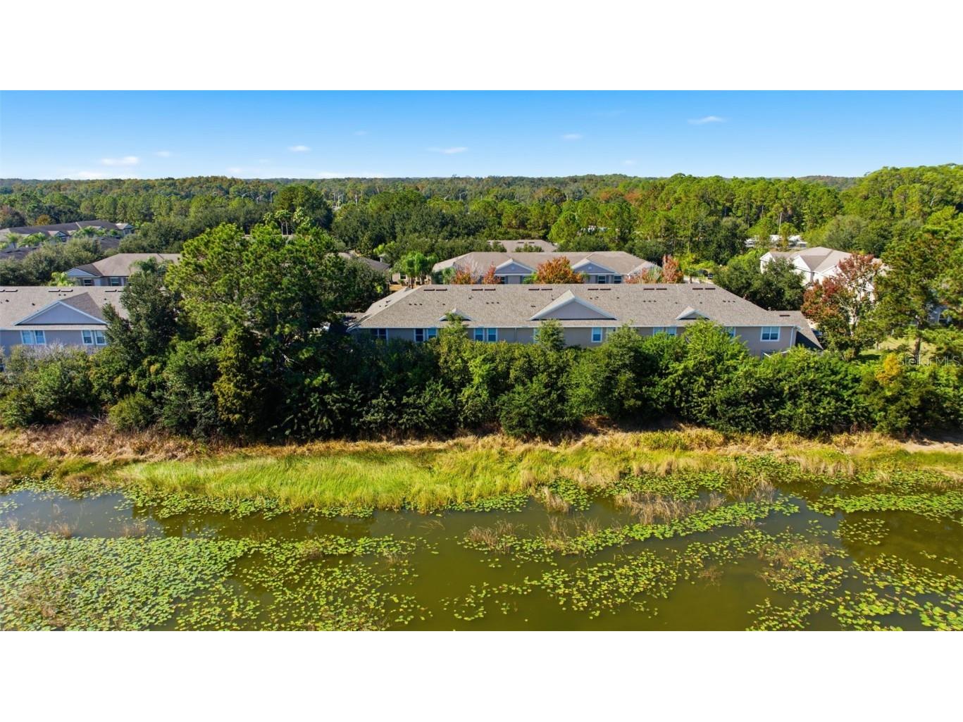 3914 Silverlake Way Wesley Chapel FL 33544 TB8450255 image29