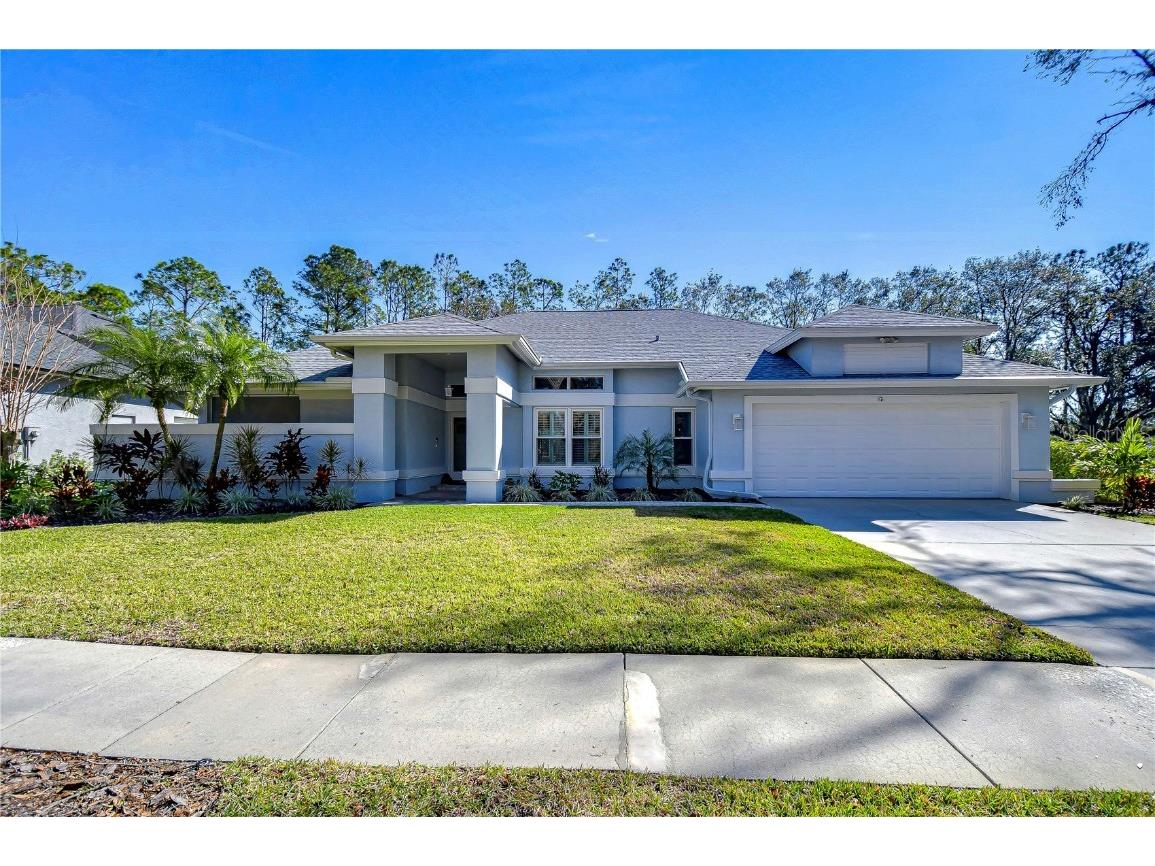 3914 Turkey Oak Drive Valrico FL 33596 TB8344875 image1