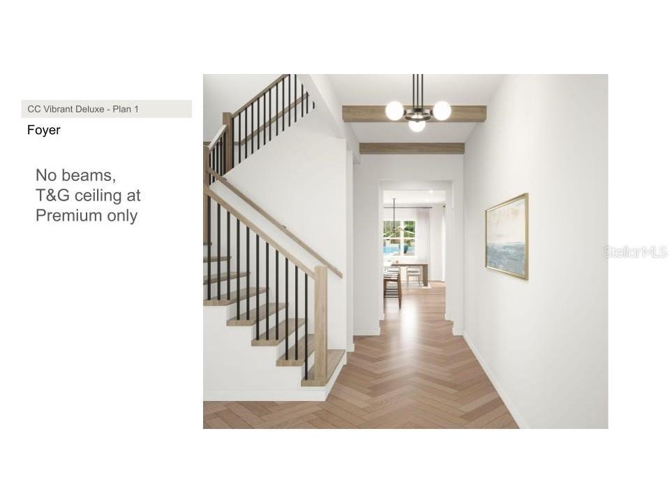 3914 W Cleveland Street Tampa FL 33609 TB8465592 image3