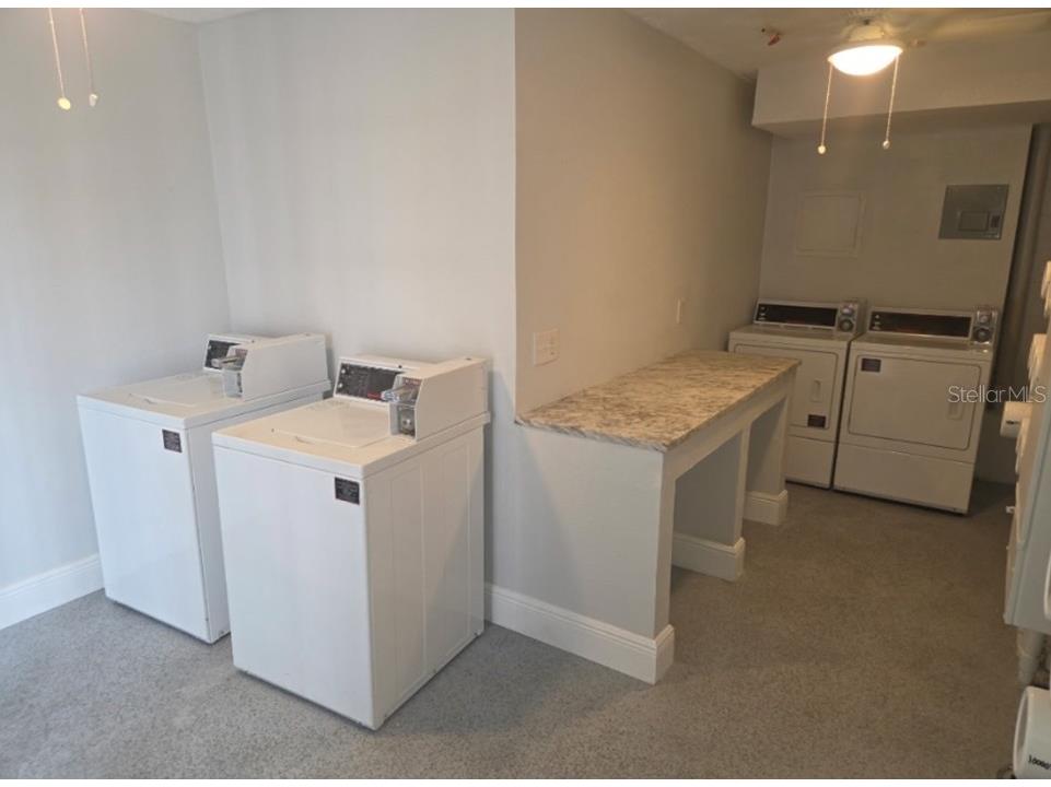 3914 W Neptune Street #11 Tampa FL 33629 TB8498024 image10