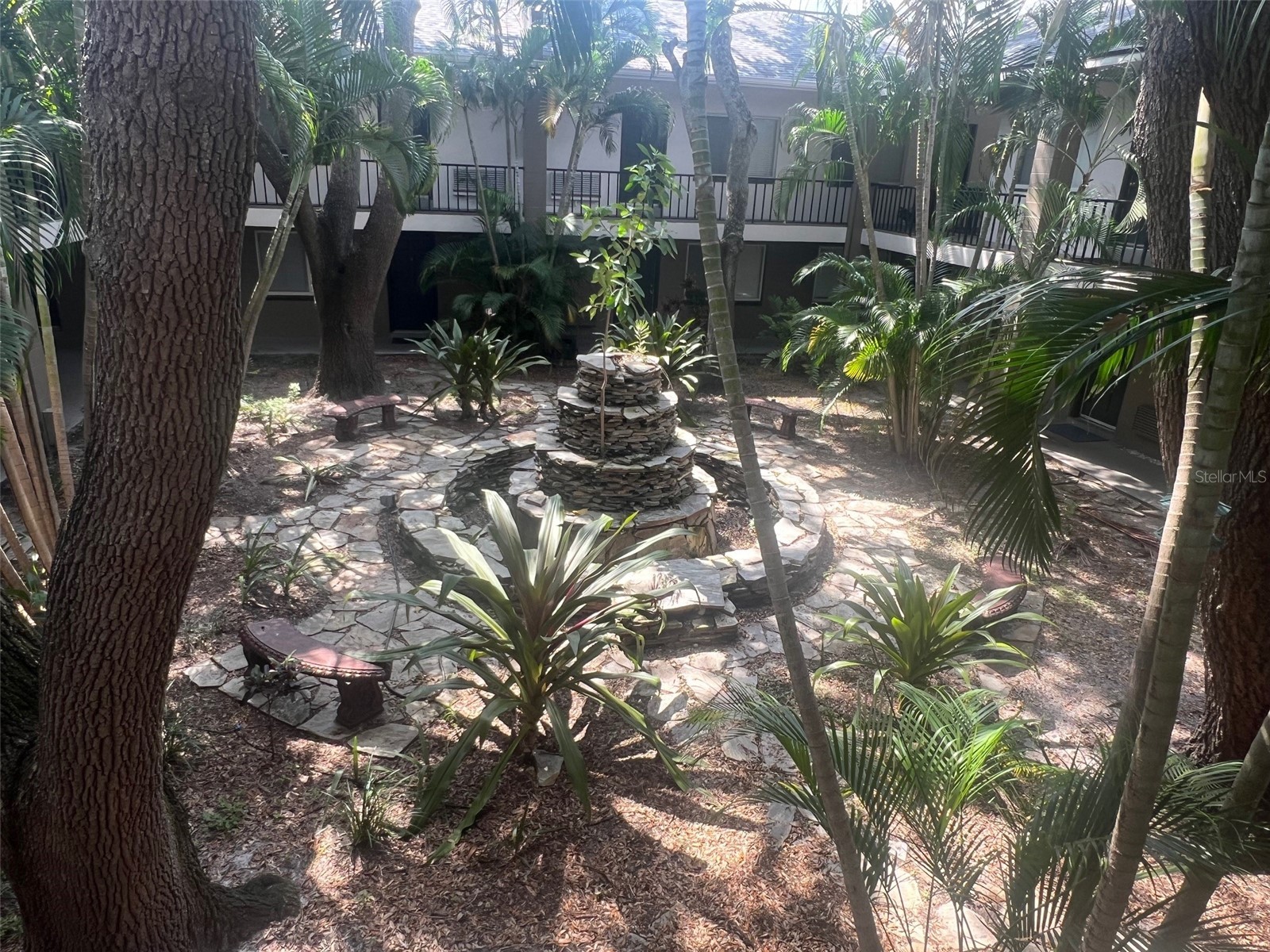 3914 W Neptune Street #11 Tampa FL 33629 TB8498024 image13