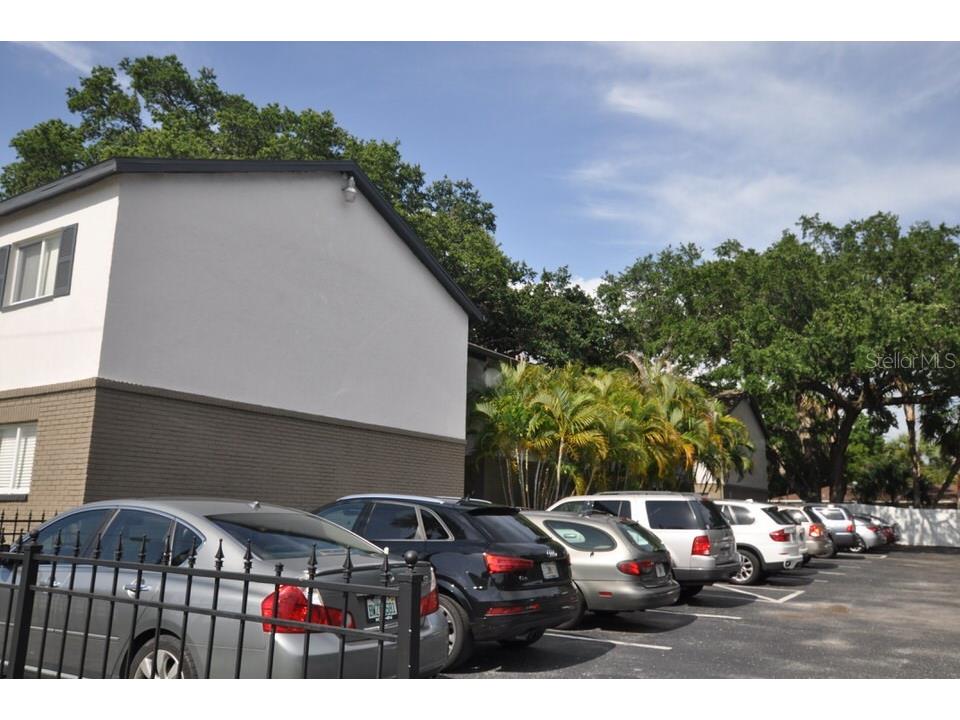 3914 W Neptune Street #11 Tampa FL 33629 TB8498024 image15