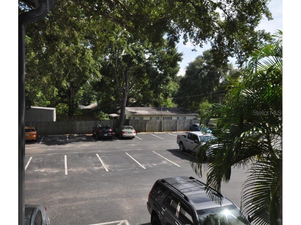 3914 W Neptune Street #11 Tampa FL 33629 TB8498024 image16