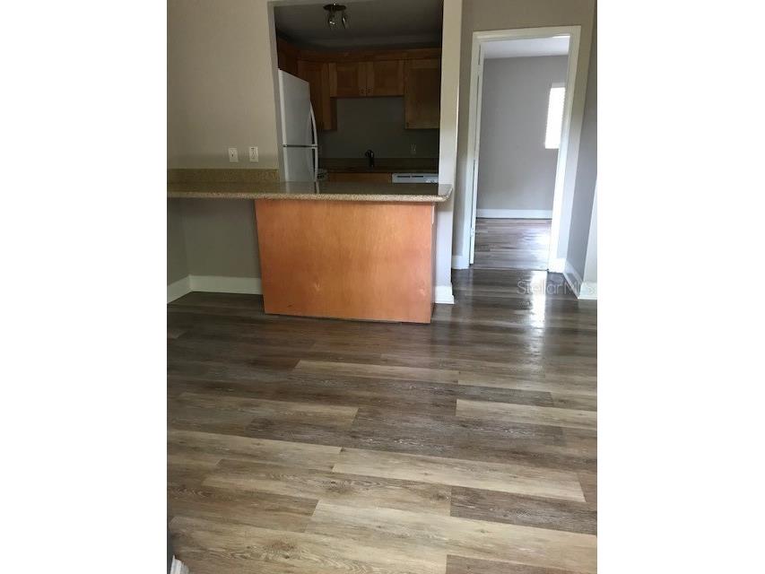 3914 W Neptune Street #11 Tampa FL 33629 TB8498024 image5