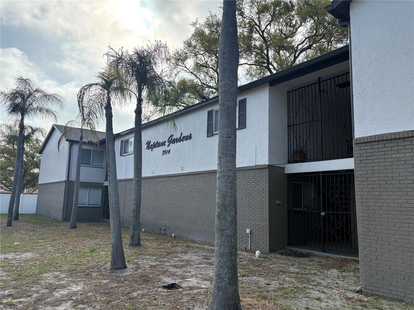 3914 W Neptune Street #27 Tampa FL 33629 TB8487947 image1