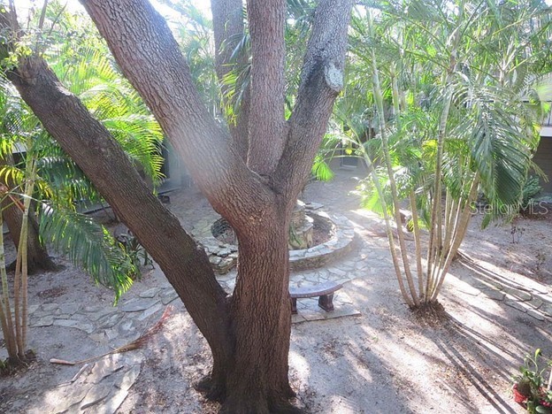 3914 W Neptune Street #27 Tampa FL 33629 TB8487947 image12