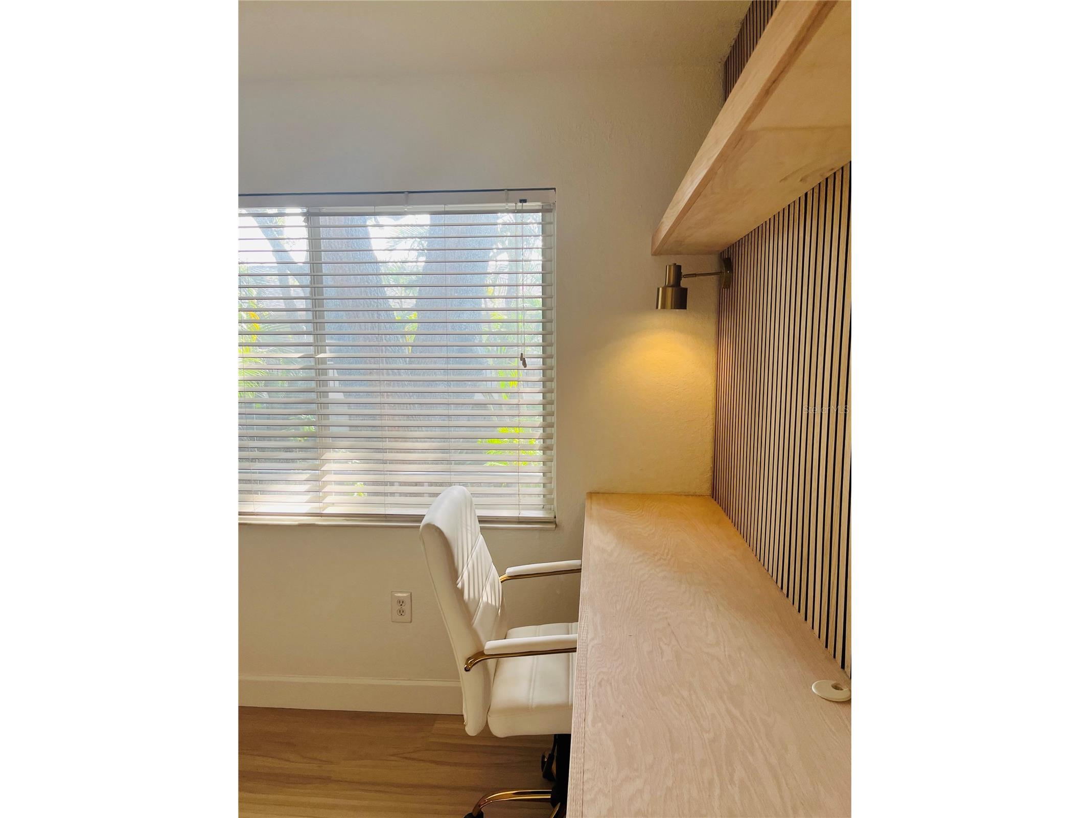 3914 W Neptune Street #27 Tampa FL 33629 TB8487947 image4