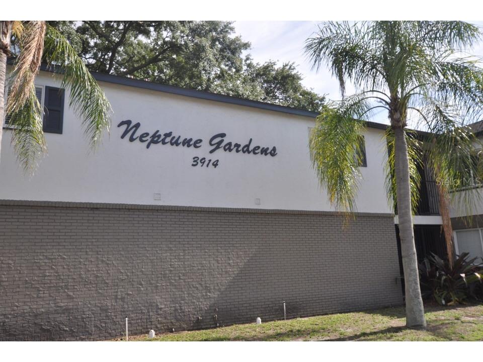 3914 W Neptune Street #28 Tampa FL 33629 TB8500848 image1