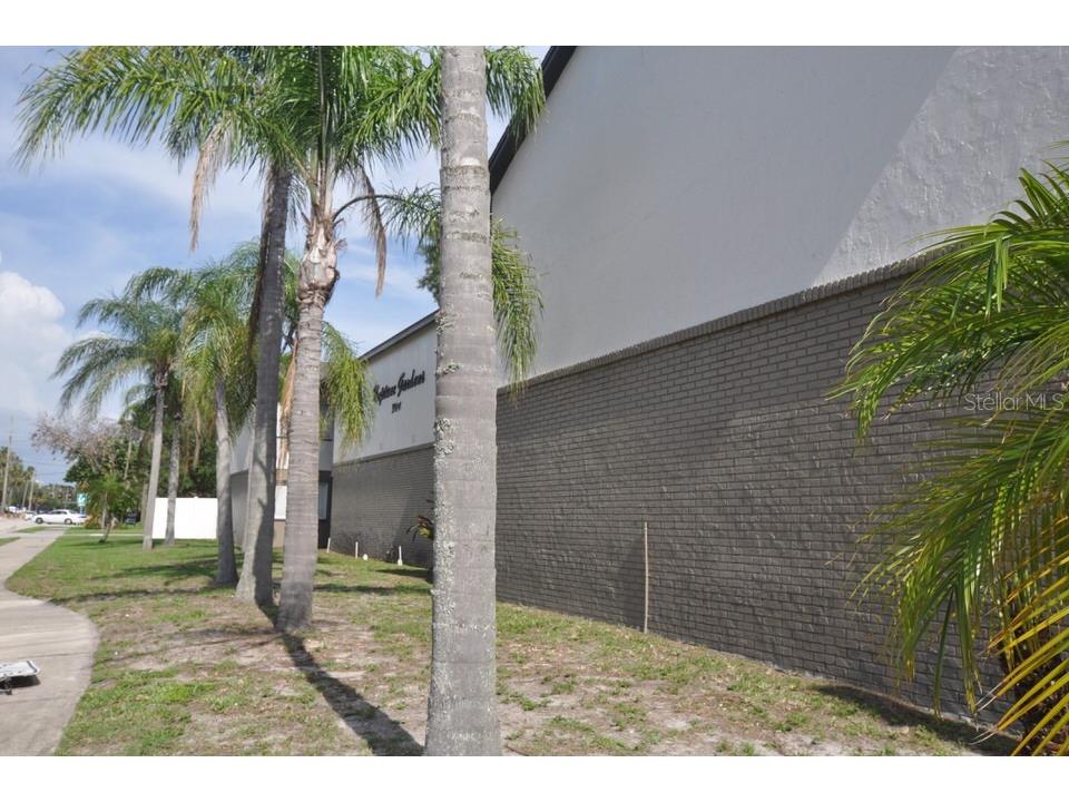 3914 W Neptune Street #28 Tampa FL 33629 TB8500848 image11