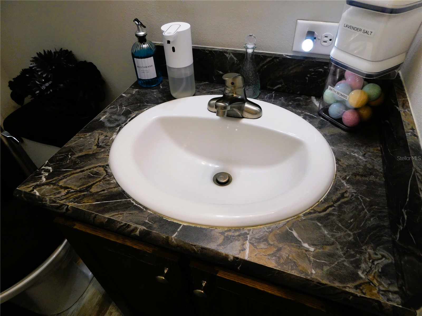 39143 Hillcrest Drive Zephyrhills FL 33542 TB8486430 image20