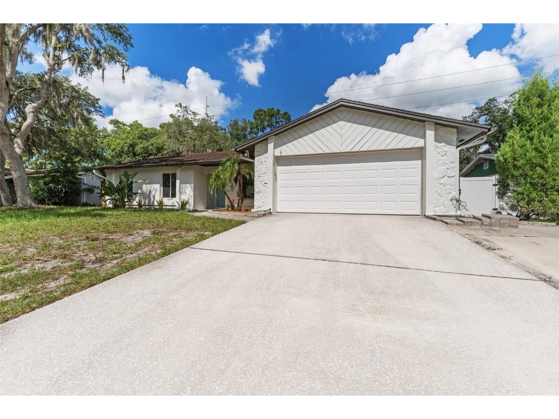 3915 Briarlake Drive Valrico FL 33596 TB8342681 image1