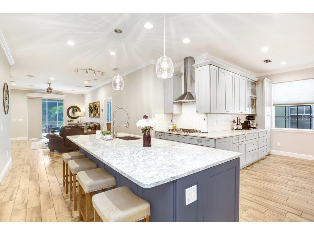 3915 Duke Firth Street Land O Lakes FL 34638 TB8501821 image13