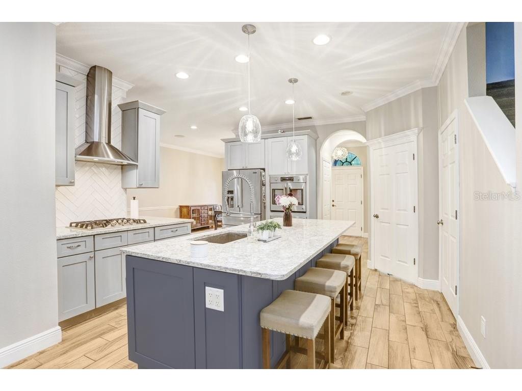 3915 Duke Firth Street Land O Lakes FL 34638 TB8501821 image15
