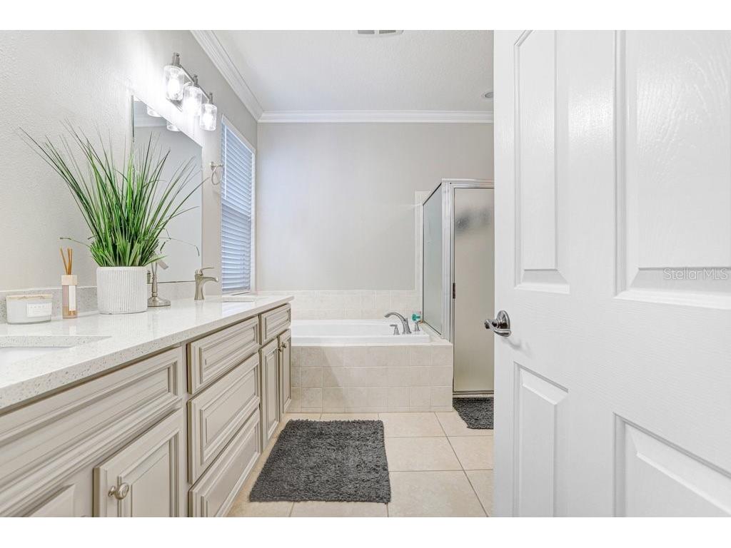 3915 Duke Firth Street Land O Lakes FL 34638 TB8501821 image22