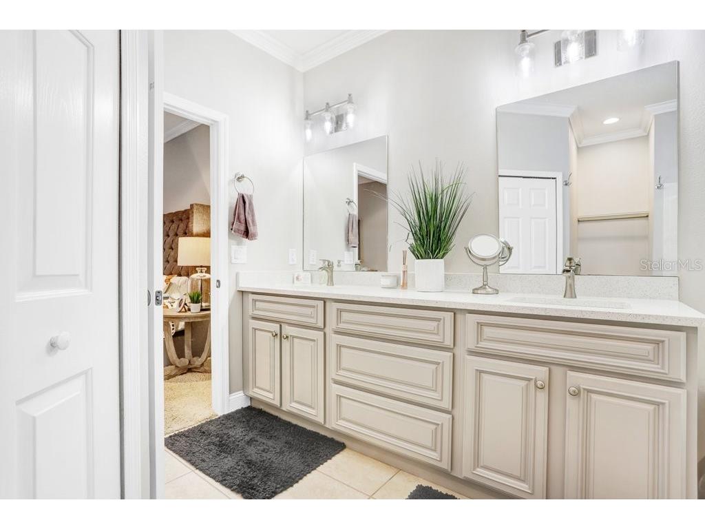 3915 Duke Firth Street Land O Lakes FL 34638 TB8501821 image24