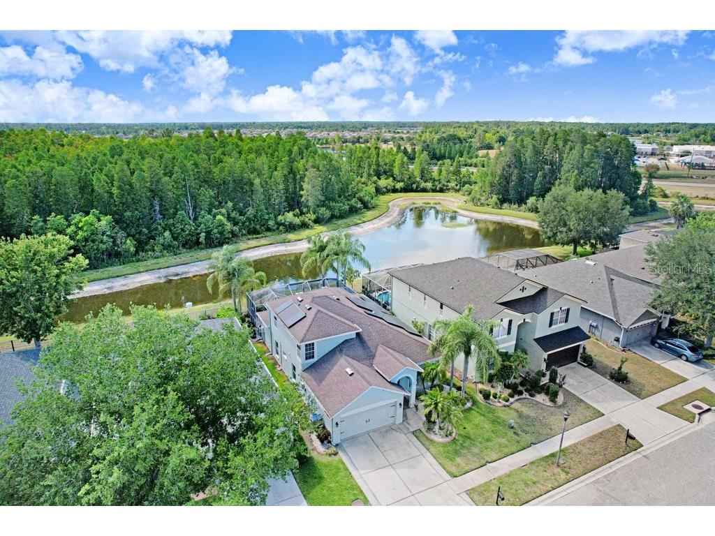 3915 Duke Firth Street Land O Lakes FL 34638 TB8501821 image33