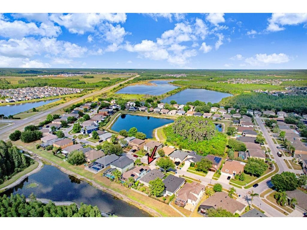 3915 Duke Firth Street Land O Lakes FL 34638 TB8501821 image38