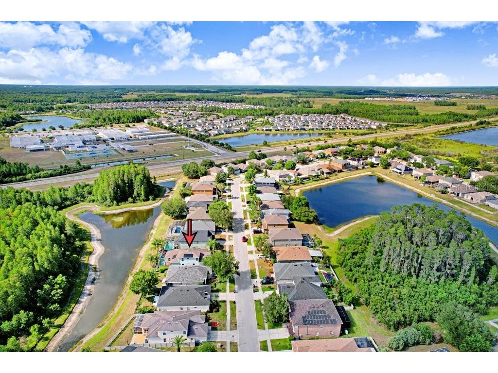 3915 Duke Firth Street Land O Lakes FL 34638 TB8501821 image39
