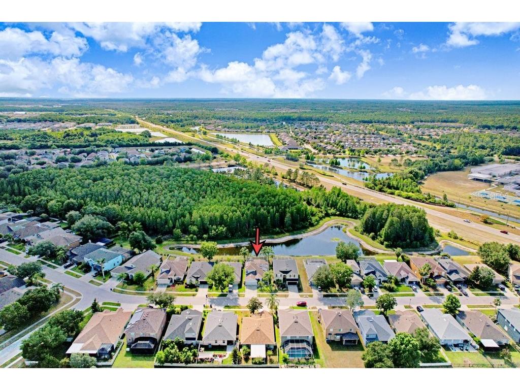 3915 Duke Firth Street Land O Lakes FL 34638 TB8501821 image40