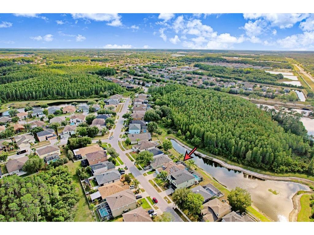 3915 Duke Firth Street Land O Lakes FL 34638 TB8501821 image41