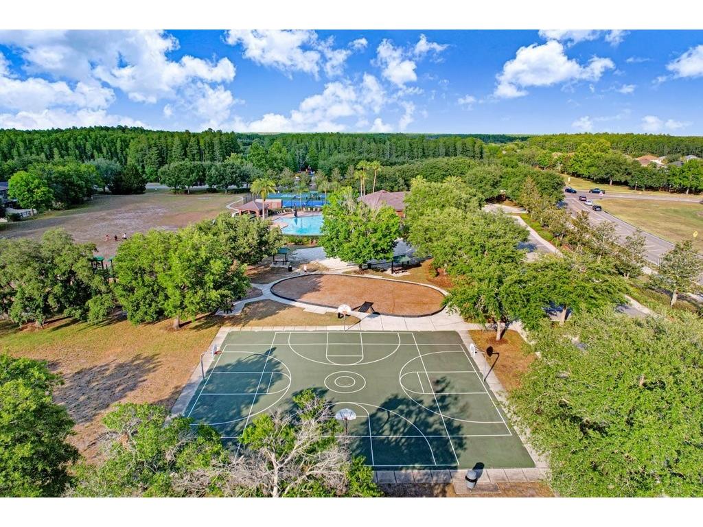 3915 Duke Firth Street Land O Lakes FL 34638 TB8501821 image42