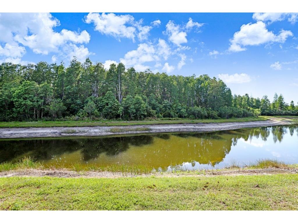 3915 Duke Firth Street Land O Lakes FL 34638 TB8501821 image46
