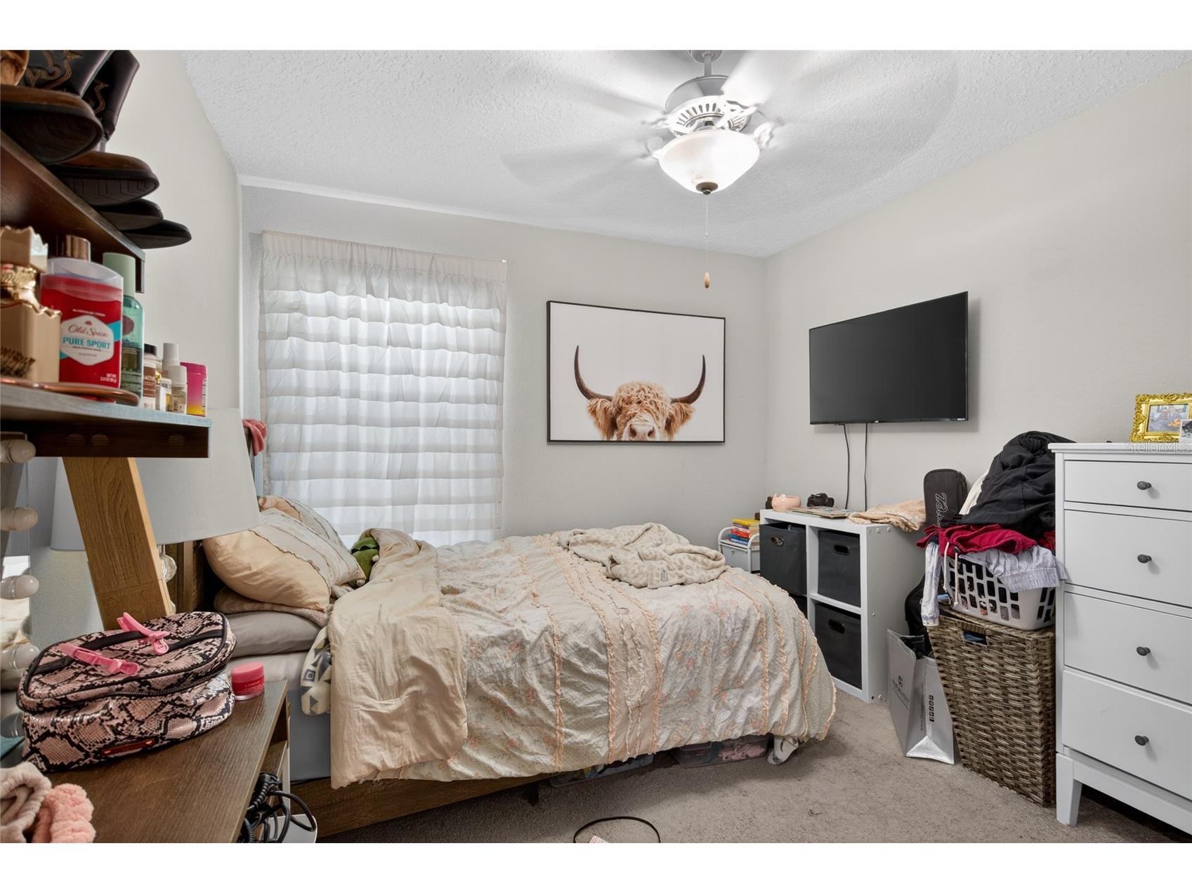 3915 Gainer Springs Avenue New Port Richey FL 34653 A4696571 image16