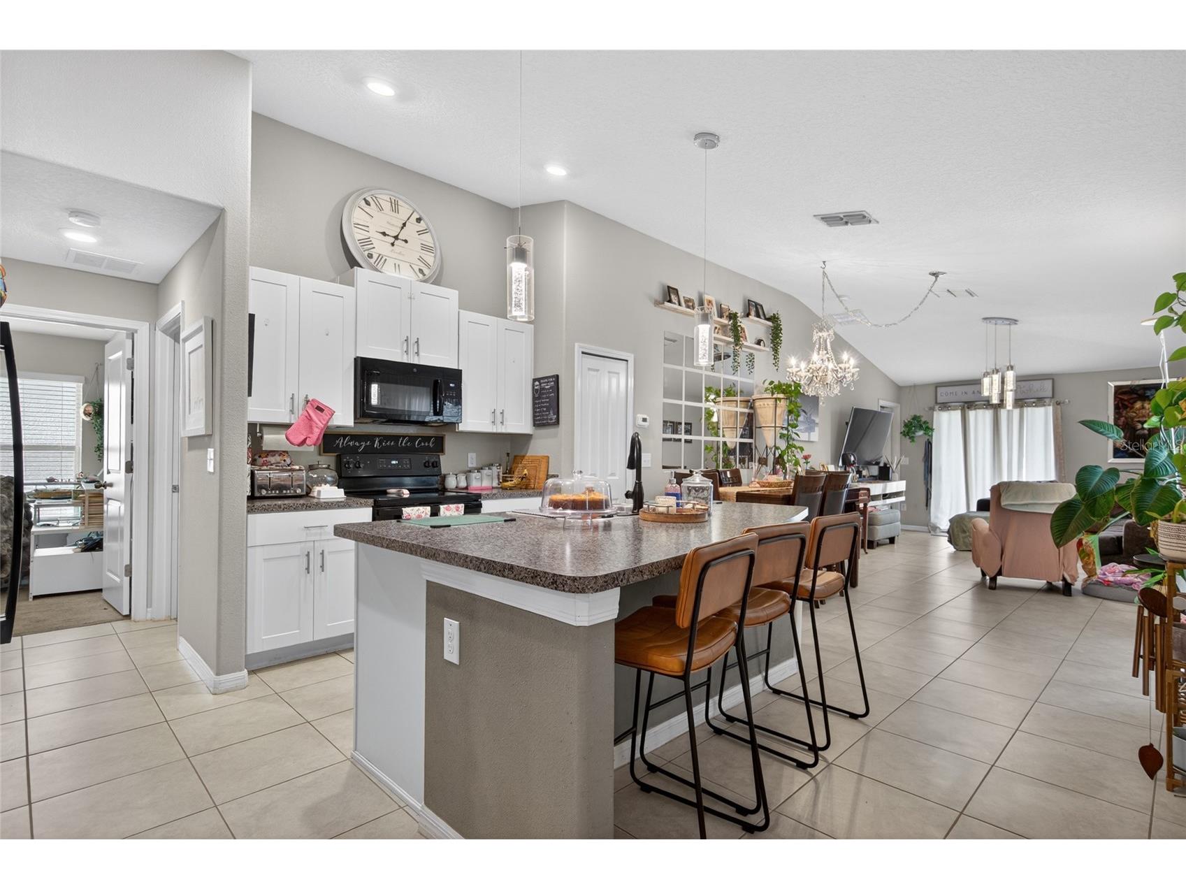 3915 Gainer Springs Avenue New Port Richey FL 34653 A4696571 image8