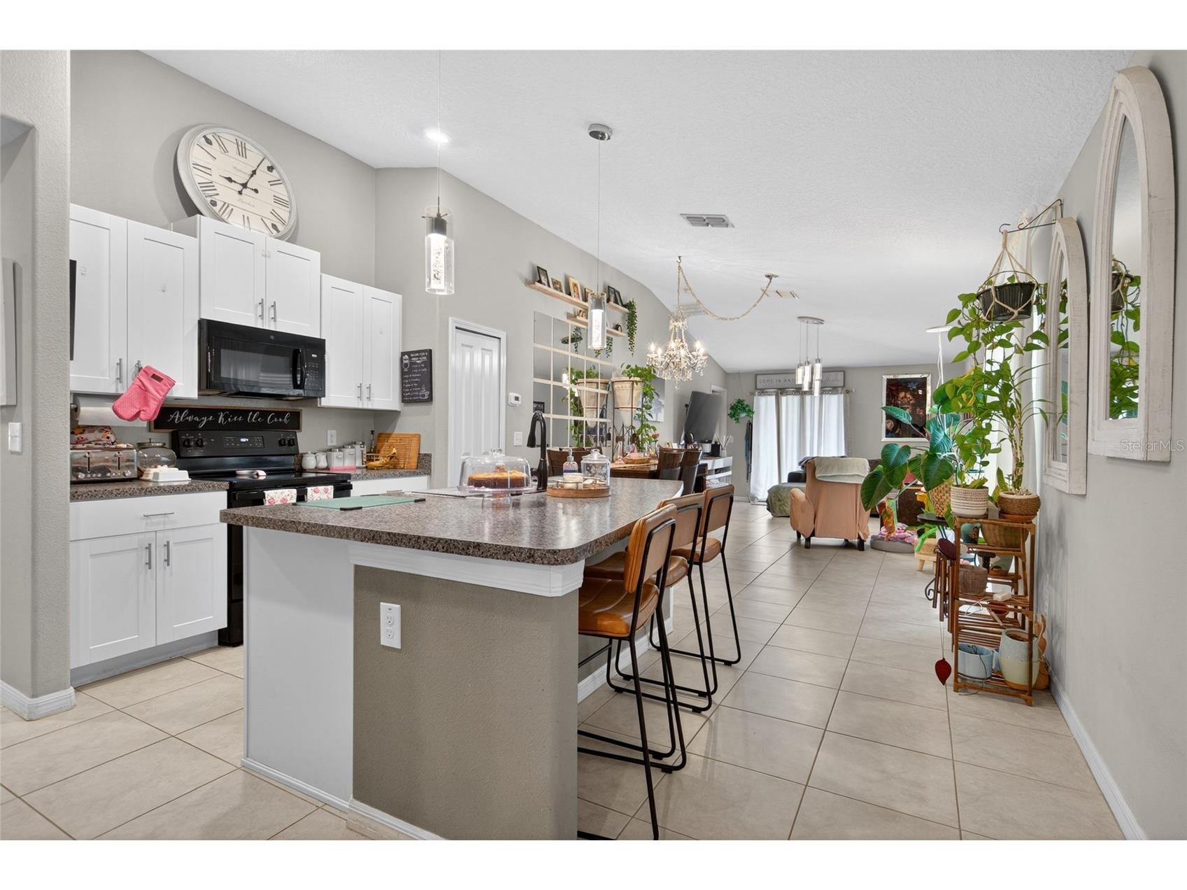 3915 Gainer Springs Avenue New Port Richey FL 34653 A4696571 image9