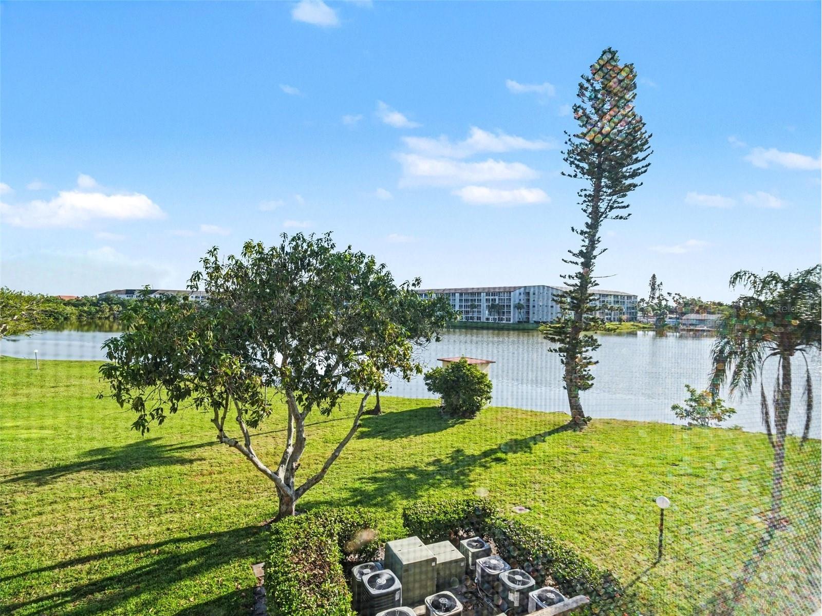 3915 Lake Bayshore Drive #306 Bradenton FL 34205 TB8507468 image18