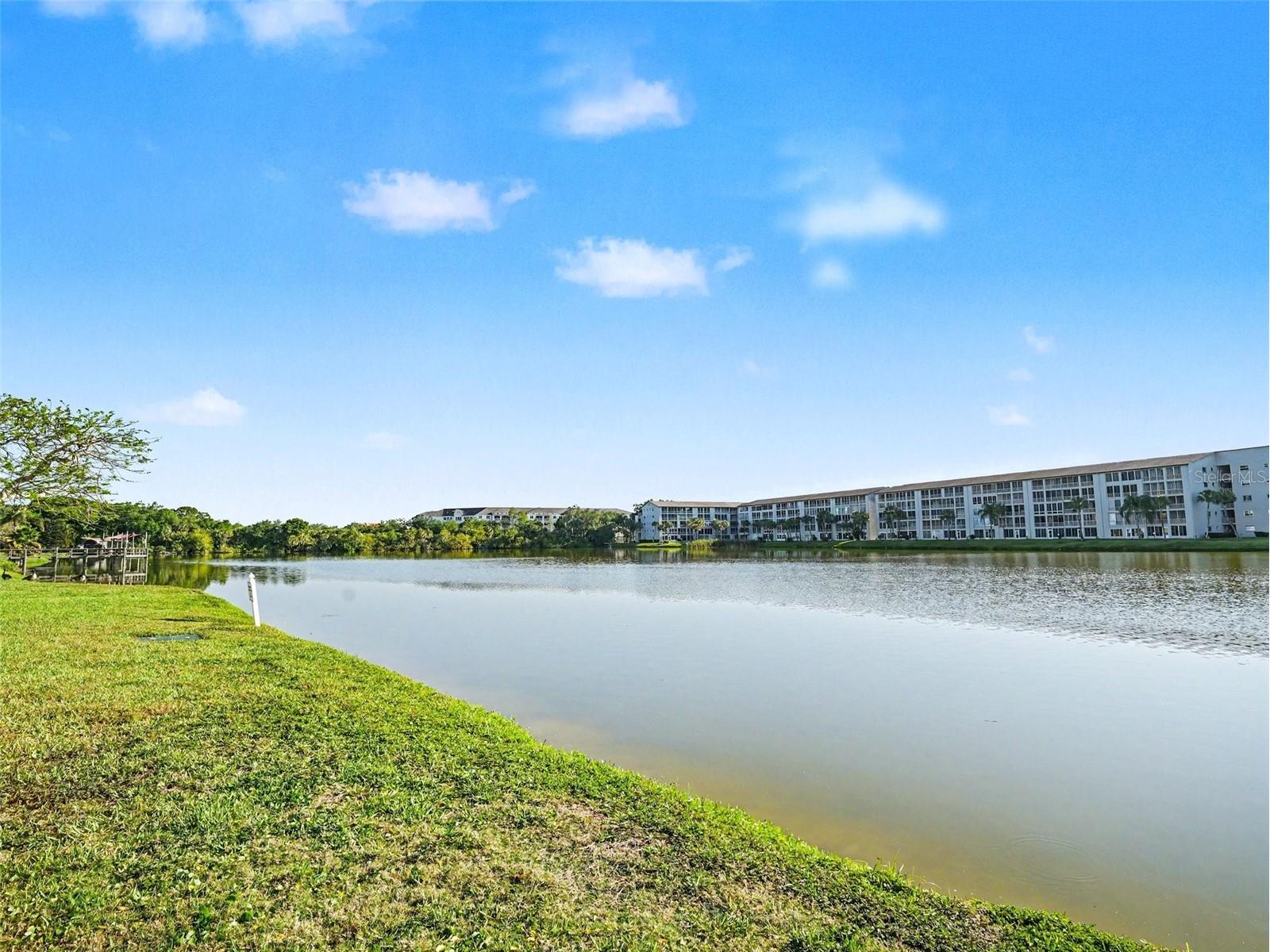 3915 Lake Bayshore Drive #306 Bradenton FL 34205 TB8507468 image19