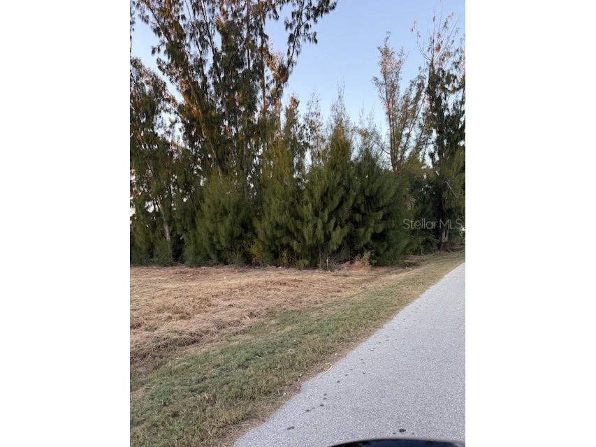 3915 Magnolia Way Punta Gorda FL 33950 - ALLIGATOR CREEK C7521397 image6