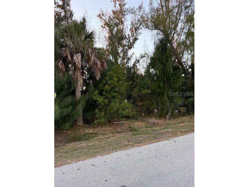 3915 Magnolia Way Punta Gorda FL 33950 - ALLIGATOR CREEK C7521397 image8