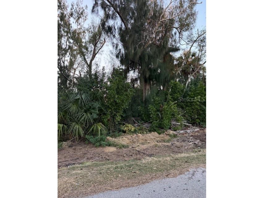 3915 Magnolia Way Punta Gorda FL 33950 - ALLIGATOR CREEK C7521397 image9