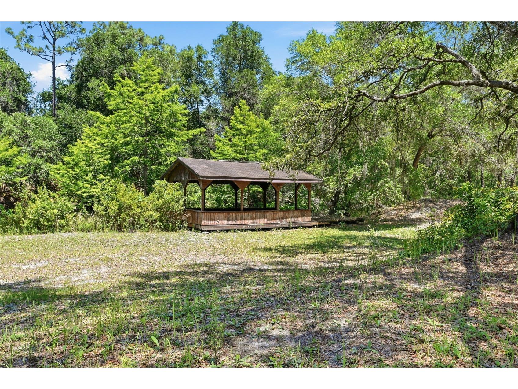 3915 S Spaniel Trail Inverness FL 34450 - TSALA APOPKA CHAIN OF LAKES O6408634 image40